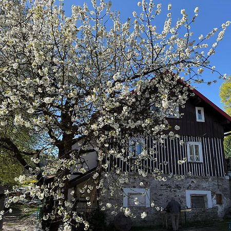 Vila Adelka - Utulna Chalupa V Krkonosich Horni Marsov Ngoại thất bức ảnh